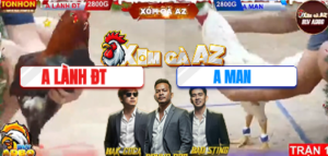 Trận 1 Bồ Tonhon 29/12/2025 - Gà Anh Man Hạ Anh Lành Nhanh Chóng Trong Trận Này