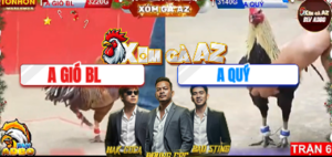 Trận 6 Bồ Tonhon 29/12/2025 - Gió Bạc Liêu Gặp Gà Chuối Anh Quý Là Phải Cúi Đầu