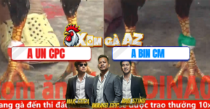 Trận 13 Bồ CPC5 28/12/2025 - Gà Bông Anh Un Đâm Điều Anh Bin Té Tuyệt Đối