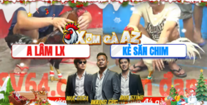 Trận 11 CPC5 6/12/2025 - Kẻ Săn Chim Gặp Đối Thủ Nặng Ký Và Cái Kết