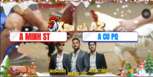 Trận 10 Bồ Tonhon 10/12/2025 - Minh Sóc Trăng Tung Gà Cọp Ra Đá Như Sấm Sét