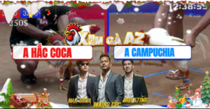 Trận 4 Bồ Dinh Bà 21/12/2025 - Hắc Coca Ôm Gà Bướm Ra Sân Giết Đối Thủ