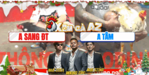 Trận 15 CPC5 2/12/2025 - Gà Que Anh Sang Lấy Tiền Mua Xe Bên Nước Bạn