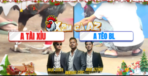 Trận 16 Bồ CPC3 21/12/2025 - Tèo Bảo Lộc Đem Hàng Tuyển Ra Sân Và Cái Kết