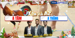 Trận 11 Bồ Tonhon 17/12/2025 - Gà Cọp Anh Tâm Đâm Đúng 1 Chân Có Kết Quả