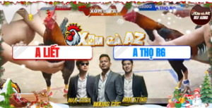 Trận 5 Bồ Tonhon 22/12/2025 - Gà Anh Liết Canh Chặn Chân Quá Tốt Hạ Đối Thủ Gọn