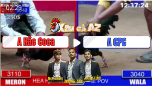 Trận 8 Dinh Bà 22/12/2025