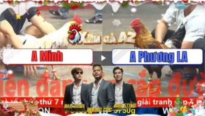 Trận 17 CPC5 1/12/2025