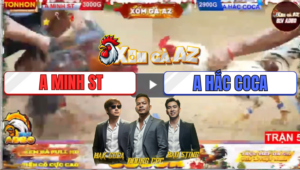 Trận 5 Tonhon 19/12/2025