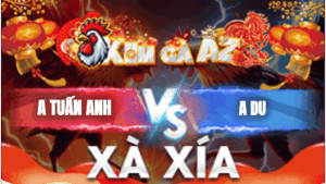 Trận 10 Bồ Xà Xía 18/1/2026 - Kèo Cựa Phải Cựa Trái Hot Nhất Hôm Nay