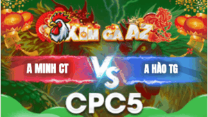 Trận 11 Bồ CPC5 24/1/2026 - Anh Minh Cần Thơ Chấp 2 Cây Trên Với Hào Tiền Giang