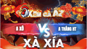 Trận 11 Bồ Xà Xía 19/1/2026 - Gà Cú Anh Thắn Đâm Quá Khéo Hạ Bướm Anh Xô