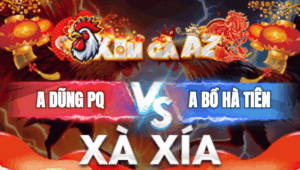 Trận 12 Bồ Xà Xía 1/1/2026 - Dũng Phú Quốc Gặp Chủ Bồ Hà Tiên