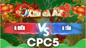 Trận 13 Bồ CPC5 24/1/2026 - Gà Anh Điền Đâm Như Chĩa Vài Chân Là Có Kết Quả