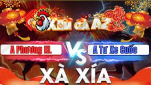 Trận 14 Xà Xía 24/1/2026
