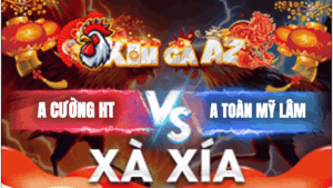 Trận 17 Bồ Xà Xía 22/1/2026 - Gà Anh Toàn Đâm Trúng Điểm Khiến Úa Anh Kiểm Té Xe
