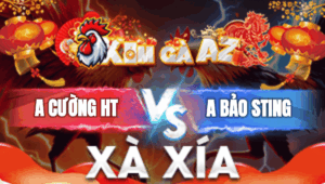 Trận 19 Bồ Xà Xía 1/1/2026 - Bảo Sting Đụng Anh Cường Hà Tiên
