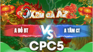 Trận 24 Bồ CPC5 24/1/2026 - Anh Đỏ Bến Tre Gặp Anh Tâm Cần Thơ