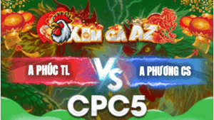 Trận 28 Bồ CPC5 28/1/2026 - Phúc Tân Lập Hạ Anh Phương Ca Sĩ Tại Giải