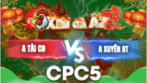 Trận 29 Bồ CPC5 28/1/2026 - Tài Châu Đốc Gặp Xuyên Bến Tre Đá Cho Bung Bồ Tại Giải