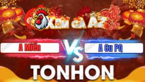 Trận 3 Bồ Tonhon 28/1/2026 - Anh Miền Gặp Anh Cu Phú Quốc