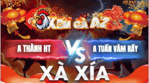 Trận 35 Bồ Xà Xía 19/1/2026 - Gà Úa Nhấp Vài Chân Điều Hết Phản