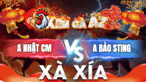 Trận 36 Bồ Xà Xía 2/1/2026 - Bảo Sting Đem Gà Chuối Nhập Vào Gặp Anh Kiểm