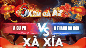 Trận 38 Bồ Xà Xía 19/1/2026 - Gà Điều Cọp Anh Cu Đâm Gà Anh Thanh Té Xe