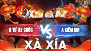 Trận 5 Bồ Xà Xía 21/1/2026 - Gà Chuối Anh Kiểm Dở Giò Là Đâm Hạ Gà Anh Tư