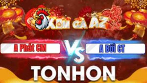 Trận 5 Bồ Tonhon 28/1/2026 - Điều Trâu Uá Đá Lâu Cũng Chết