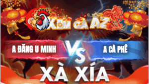 Trận 6 Bồ Xà Xía 18/1/2026 - Kiểm Cà Mau Chấp Hơn 4 Chấm Gà Gặp Anh Đăng U Minh