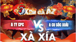 Trận 8 Bồ Xà Xía 29/1/2026 - Ty Campuchia Tin Tưởng Giao Cọp Cho Kiểm Cà Mau Và Cái Kết