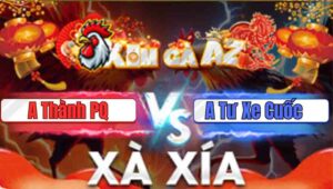 Trận 8 Xà Xía 24/1/2026