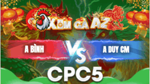 Trận 8 Bồ CPC5 28/1/2026 - Anh Bình Gặp Anh Duy Chợ Mới Và Cái Kết