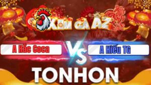 Trận 8 Bồ Tonhon 28/1/2026 - Hắc Coca Gom Phiếu Anh Sen Dẫn Đá Cho Chung Tiền Không Kịp