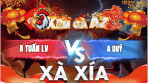 Trận 9 Bồ Xà Xía 9/1/2026 - Anh Quý Đưa Cọp Vào Đá Hư Gà Anh Tuấn