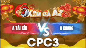 Trận 9 Bồ CPC3 27/1/2026 - Điều Đá 3 Cẳng Xám Cú Bất Ngờ Bỏ Chạy