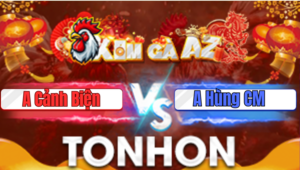 Trận 16 Tonhon 9/1/2026