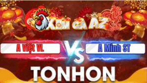 Trận 29 Tonhon 7/1/2026