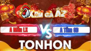 Trận 2 Tonhon 21/1/2026