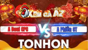 Trận 15 Tonhon 21/1/2026