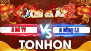 Trận 26 Tonhon 21/1/2026