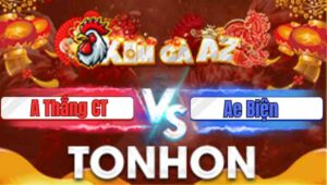 Trận 31 Tonhon 21/1/2026