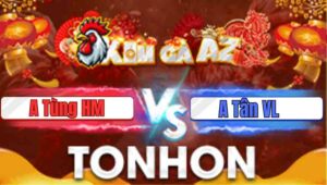 Trận 4 Tonhon 22/1/2026