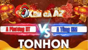 Trận 9 Tonhon 22/1/2026