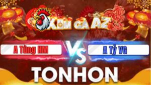 Trận 11 Tonhon 22/1/2026