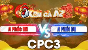 Trận 2 CPC3 29/1/2026