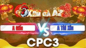 Trận 46 CPC3 29/1/2026