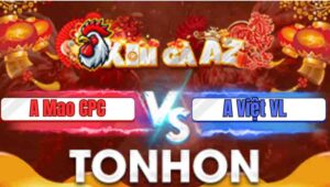 Trận 4 Tonhon 7/1/2026