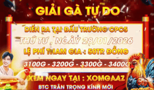 Thông Báo Giải CPC5 Trước Tết 28/1/2026